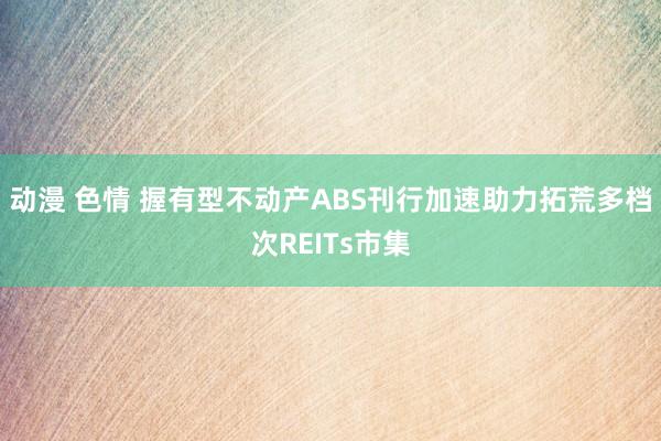 动漫 色情 握有型不动产ABS刊行加速助力拓荒多档次REITs市集