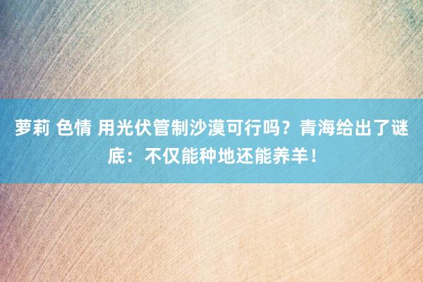 萝莉 色情 用光伏管制沙漠可行吗？青海给出了谜底：不仅能种地还能养羊！