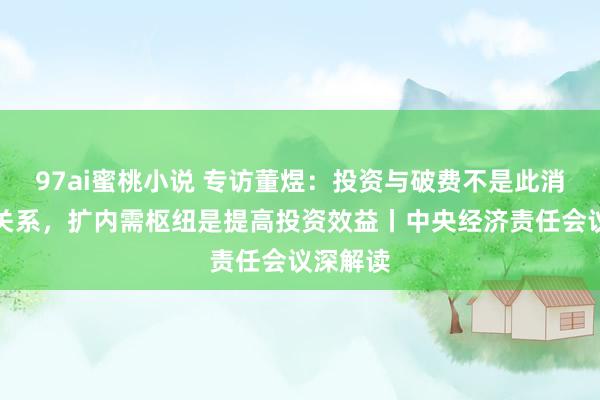 97ai蜜桃小说 专访董煜：投资与破费不是此消彼长的关系，扩内需枢纽是提高投资效益丨中央经济责任会议深解读