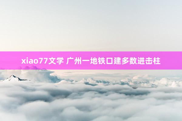 xiao77文学 广州一地铁口建多数进击柱