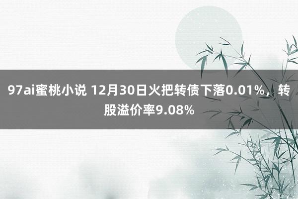 97ai蜜桃小说 12月30日火把转债下落0.01%，转股溢价率9.08%