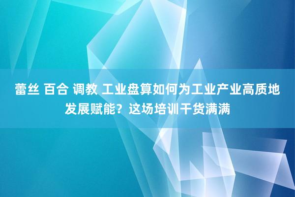 蕾丝 百合 调教 工业盘算如何为工业产业高质地发展赋能？这场培训干货满满