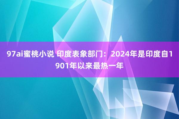 97ai蜜桃小说 印度表象部门：2024年是印度自1901年以来最热一年