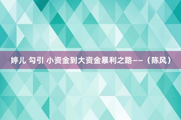 婷儿 勾引 小资金到大资金暴利之路——（陈风）