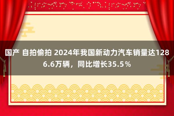 国产 自拍偷拍 2024年我国新动力汽车销量达1286.6万辆，同比增长35.5％