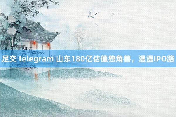 足交 telegram 山东180亿估值独角兽，漫漫IPO路