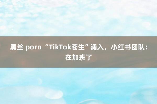 黑丝 porn “TikTok苍生”涌入，小红书团队：在加班了