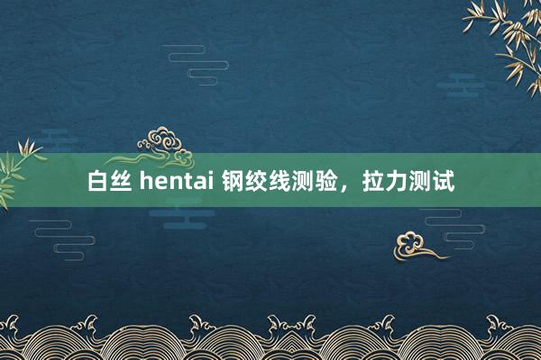 白丝 hentai 钢绞线测验，拉力测试