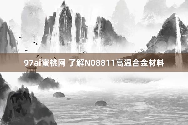 97ai蜜桃网 了解N08811高温合金材料