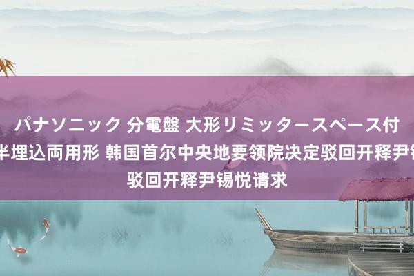 パナソニック 分電盤 大形リミッタースペース付 露出・半埋込両用形 韩国首尔中央地要领院决定驳回开释尹锡悦请求