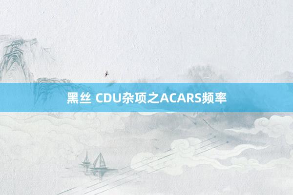 黑丝 CDU杂项之ACARS频率